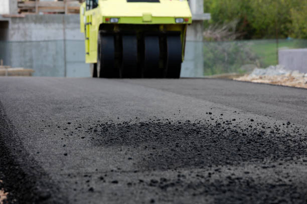Best Best Driveway Pavers  in Laurel Hill, NC