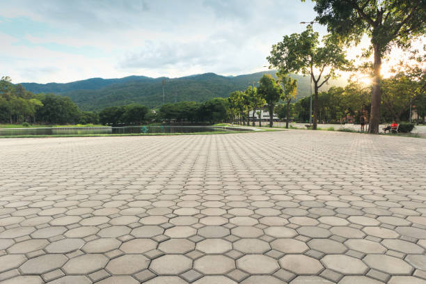 Best Driveway Pavers Near Me  in Laurel Hill, NC